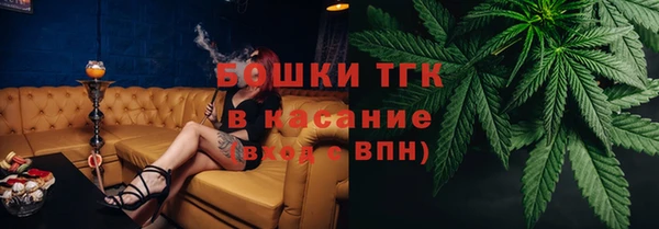 сатива Зерноград