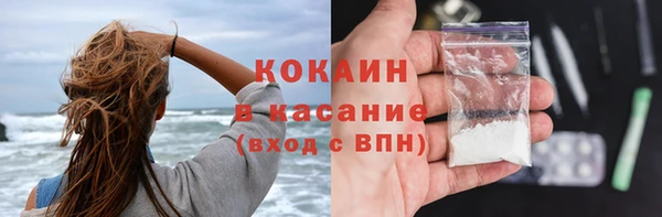 сатива Зерноград