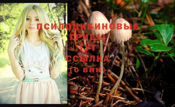 гидра Зеленокумск