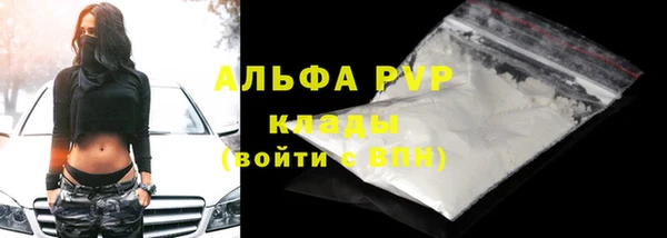 сатива Зерноград