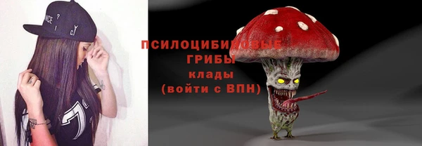 гидра Зеленокумск