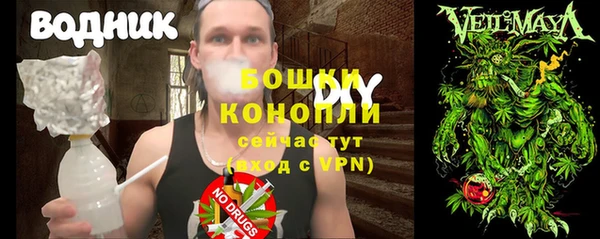 молекула духа Краснослободск