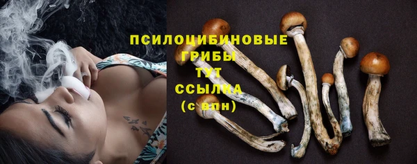 МДПВ Зеленодольск
