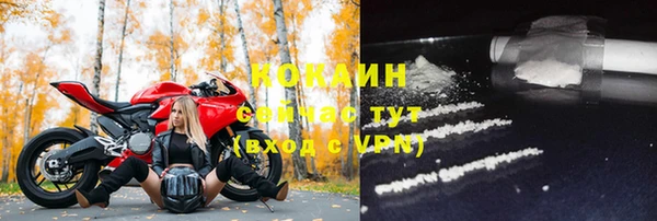 гидра Зеленокумск