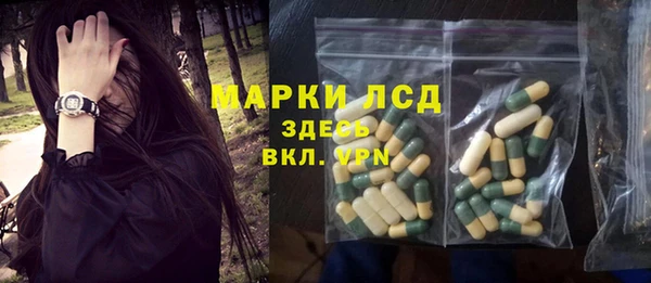 сатива Зерноград