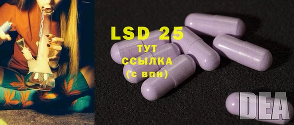 гидра Зеленокумск