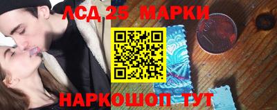 шишки Обь
